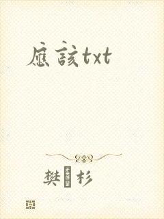 应该txt