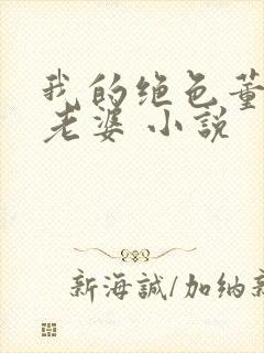 我的绝色董事长老婆 小说