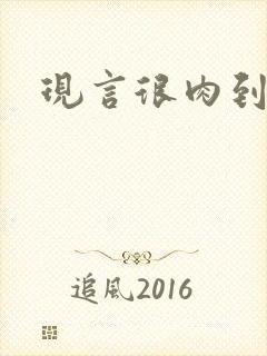 现言很肉到处做