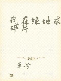 我在绝地求生捡碎片