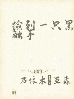 捡到一只黑心小触手