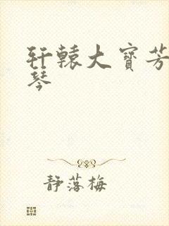 轩辕大宝芳菲雅琴