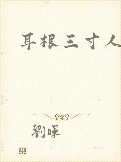 耳根三寸人间