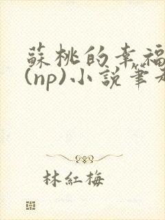 苏桃的幸福生活(np)小说笔趣阁