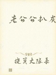 老公公扒灰小说