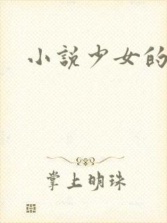 小说少女的心
