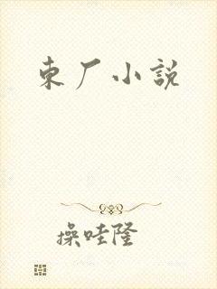 东厂小说