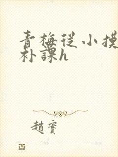 青梅从小摸到大补课h