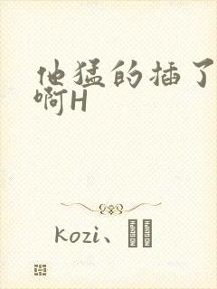 他猛的插了进去啊H