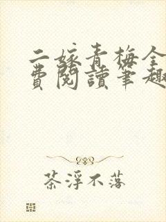 二嫁青梅全文免费阅读笔趣阁