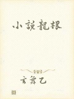 小说龙根
