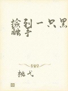 捡到一只黑心小触手