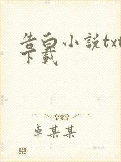 告白小说txt下载