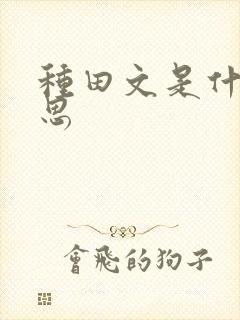 种田文是什么意思