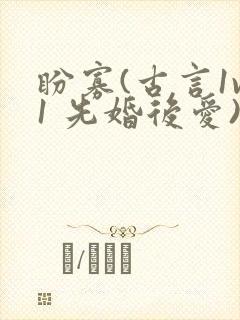 盼寡(古言1v1 先婚后爱)