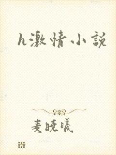 h激情小说