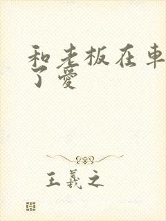 和老板在车里做了爱