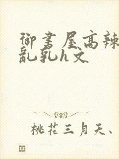 御书屋高辣h文乱乳h文