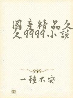 国产精品久久久久9999小说