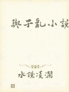 与子乱小说