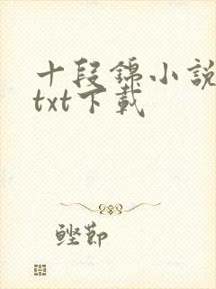 十段锦小说全本txt下载