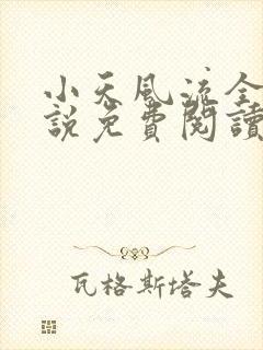 小天风流全集小说免费阅读