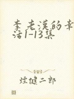 李老汉的幸福生活1-13集