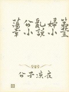 荡公乱妇第51章小说小莹