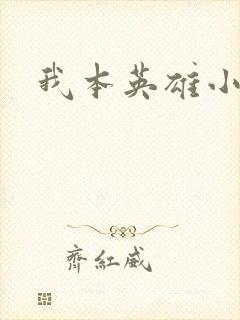 我本英雄小说