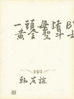 一头母猪 BY 黄金圣斗士