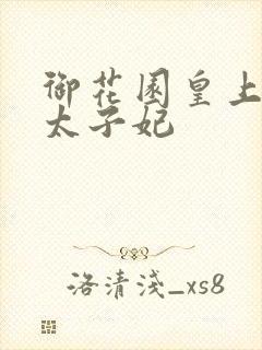 御花园皇上撞着太子妃