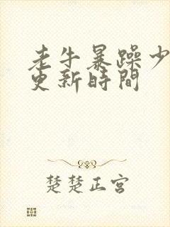 老牛暴躁少女的更新时间