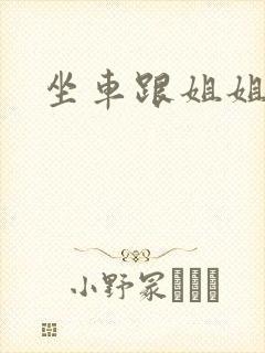 坐车跟姐姐那个