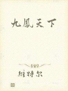 九凤天下