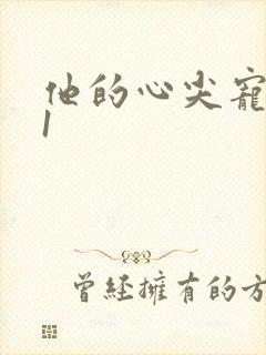 他的心尖宠1v1