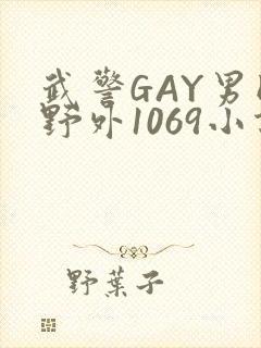 武警GAY男同野外1069小说