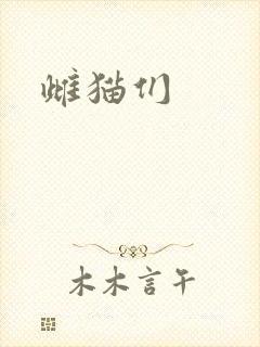 雌猫们