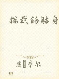 总裁的贴身女佣