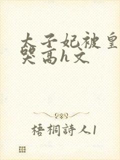 太子妃被皇上c哭高h文