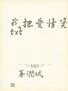 我把爱情煲成汤txt