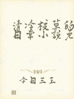 清冷校草的堕落日常小说免费阅读