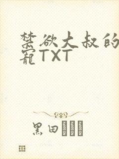 禁欲大叔的心尖宠TXT