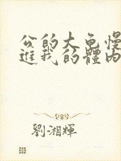 公的大龟慢慢挺进我的体内视频