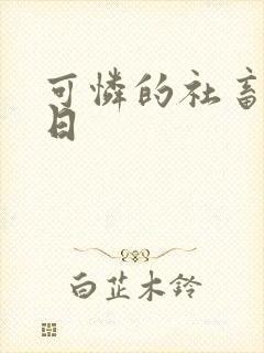 可怜的社畜东度日