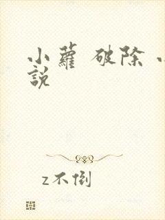 小萝 破除 小说