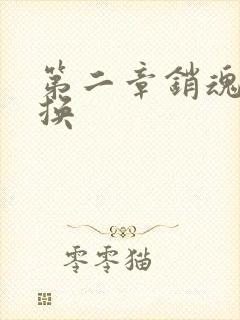 第二章销魂的交换