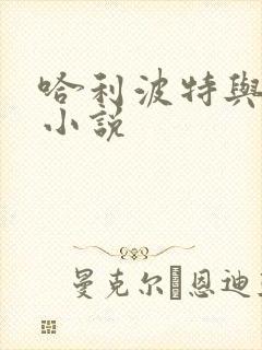 哈利波特与密室小说