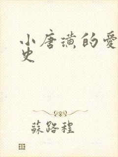 小唐璜的爱情历史