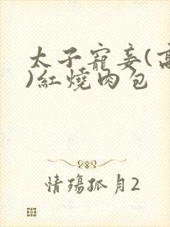 太子宠妾(高肉)红烧肉包