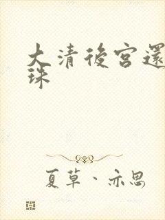 大清后宫还君明珠